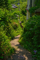 雑賀崎の狭い路地　和歌山県和歌山市	