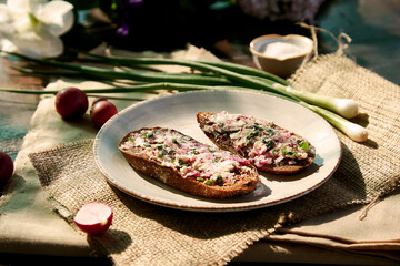 Obraz na płótnie Canvas Healthy appetizer, natural sourdough bread with radish smearing and young spring onion under shadows