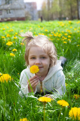 Baby  lies in  meadow with dandelions