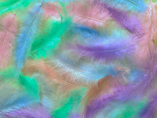 bstract textured background delicate multicolored beautiful feathers