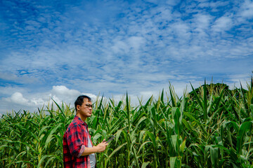 Asian Farmer stand in the corn field with holding tablet and farmer wearing red checkered shirt taking,Organic farming and healthy food production,Smart Farmer