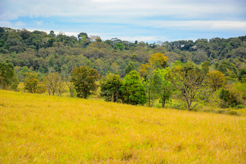Fototapeta premium field and sky
