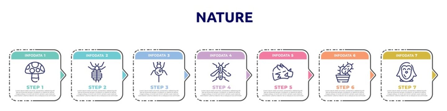 nature concept infographic design template. included mushroom, louse, spider, wasp, boar, cactus, penguin icons and 7 option or steps.