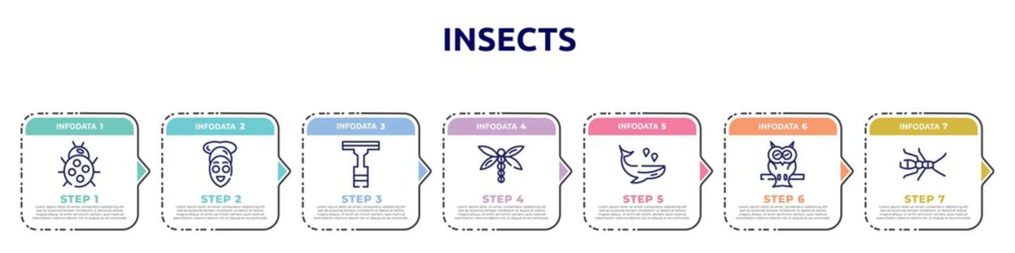 insects concept infographic design template. included ladybug, facial treatment, null, dragon fly, whale, owl, earwig icons and 7 option or steps.