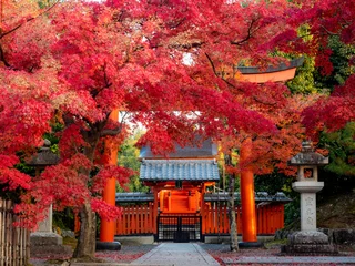 Fotobehang 京の紅葉 © Kazunori