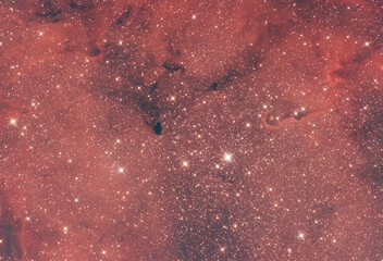 Elephant Trunk Nebula via Newton 130 650