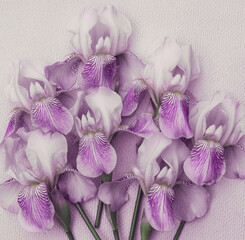 Greeting card with a beautiful bouquet of purple irises