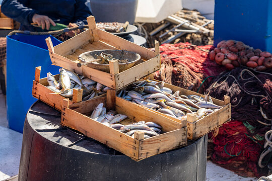 Sizilien, Liparische Inseln: Fischkutter bringt frische Fische in Holzkisten zum verkaufen an den Hafen von Lipari Stadt