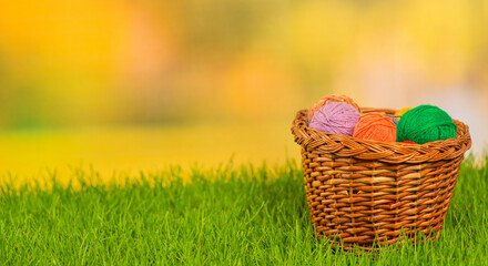 Knitting balls of different colors lying in a wicker basket on green grass. Stretched panoramic image for banner. Place for text. Stretched panoramic image for banner