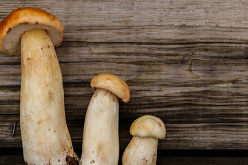 Freshly picked porcini mushrooms on rustic wooden table. Top view