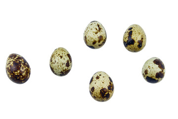 Quail eggs isolated on white background