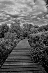 Obraz premium wooden bridge over the sea