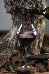 Sommelier pouring red wine into a glass
