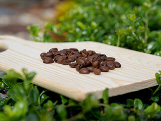 Coffee beans on wooden tray