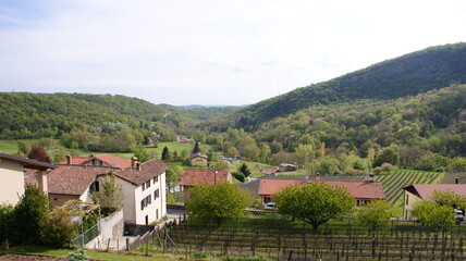 Fototapeta na wymiar Mendrisiotto, panorama
