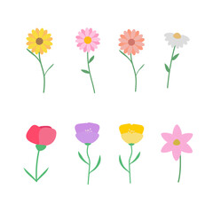 set of colorful flowers isolated. Botanical set flowers