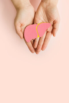 World hepatitis day. Womant hands holding donation liver on light pink background. Awareness of prevention and treatment viral hepatitis. Liver cancer. Vertically photo