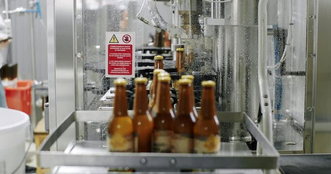 Factory, brewery concept. Beer bottles on automated machine during capping process. Video of beer bottles moving on a conveyor belt. Capping process of full beer bottles. Machine for capping bottles.