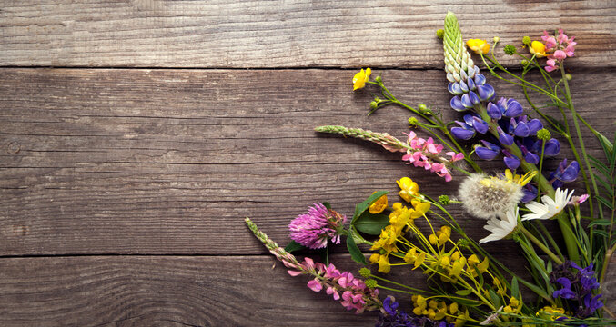 Wild flowers on old grunge wooden background (chamomile lupine dandelions thyme mint bells rape)