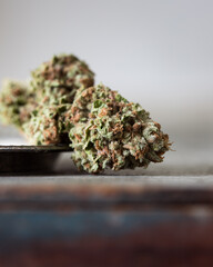 Trimmed and dried cannabis bud with a light neutral background