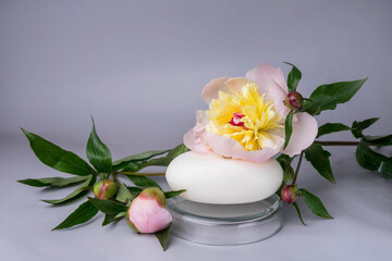Closeup of hand made herbal soap. Peony flowers. Spa concept. Skin product mockup scene. Cosmetic product.