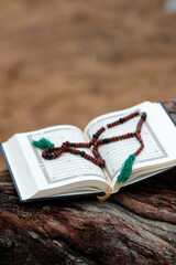 Faith and religion. Islam.