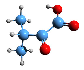 3D image of alpha-Ketoisovaleric acid skeletal formula - molecular chemical structure of ketoacid isolated on white background