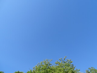 Obraz premium 快晴の青空