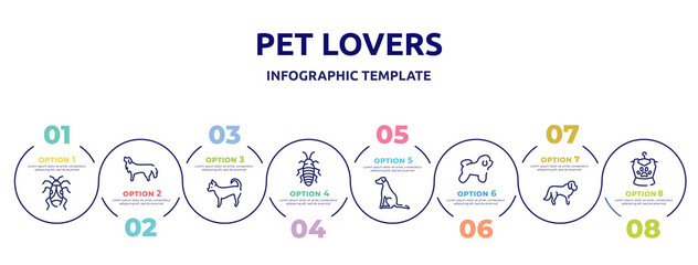 pet lovers concept infographic design template. included null, bernese mountain dog, chihuahua, madagascan, pointer dog, bichon frise, st bernard, pet clothing icons and 8 option or steps.