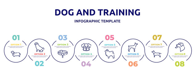 dog and training concept infographic design template. included bas hound, pug, pet collar, dog moustache, tibetan mastiff, doberman, american staffordshire terrier, dog licking icons and 8 option or