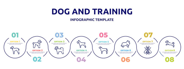 dog and training concept infographic design template. included bedlington terrier, poodle, bichon, miniature schnauzer, bullmastiff, sheltie, null, dog scaping icons and 8 option or steps.