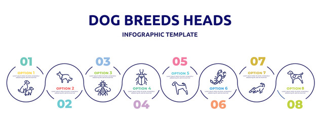 dog breeds heads concept infographic design template. included dog and doggie, collie, bumblebee, pollen beetle, airedale, scorpio, dogs playing, german shorthaired pointer icons and 8 option or