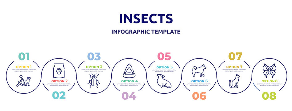 insects concept infographic design template. included dog and man seating, treat, asparagus beetle, cat playhouse, corgi, malamute, egyptian cat, leaf butterfly icons and 8 option or steps.