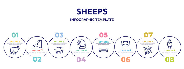 sheeps concept infographic design template. included sheep with curly wool, boar head, elephant alone, eagle head, dog bone, koala head, spots ladybug, sheep front view icons and 8 option or steps.
