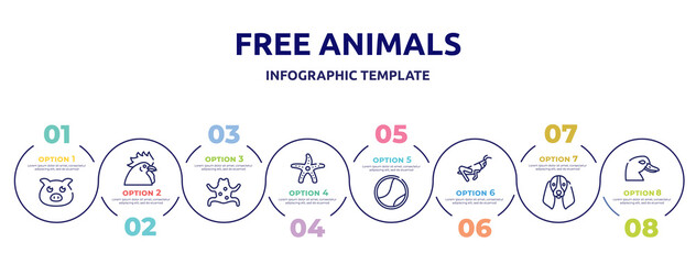 free animals concept infographic design template. included farm pig, chiken head, tropical frop, starfish with dots, tennis ball, grasshopper sitting, bas hound dog head, duck head icons and 8