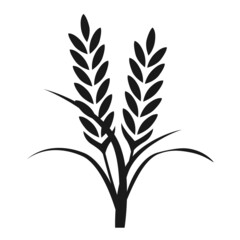 Rice and grain plant icon