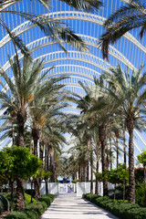 Futuristic white architecture with palm trees with blue sky on a sunny day
