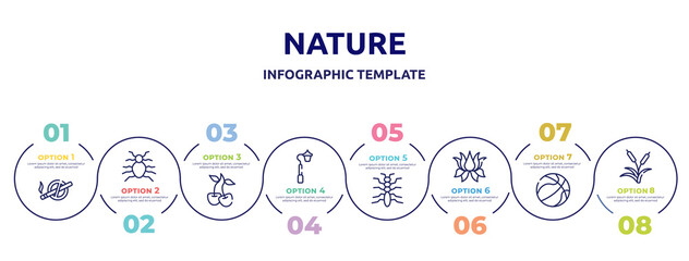 nature concept infographic design template. included no smoking, flea, cherry, streetlight, tree lobster, lotus flower, basketball ball, reeds icons and 8 option or steps.