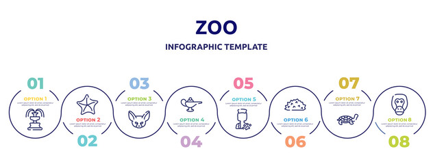 zoo concept infographic design template. included fountain, starfish, fennec, magic lamp, veterinarian, hive, tortoise, orangutan icons and 8 option or steps.