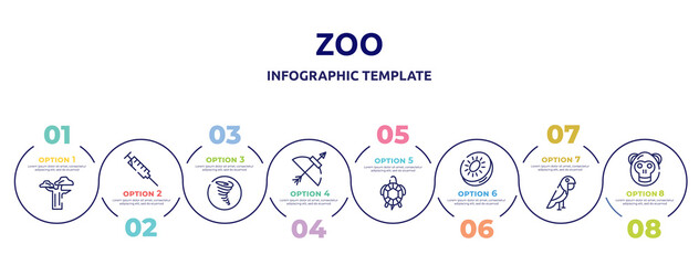 zoo concept infographic design template. included baobab, syringe, tornado, bow and arrow, tortoise, kiwi, parrot, orangutan icons and 8 option or steps.