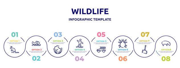 wildlife concept infographic design template. included kangaroo, sled, tumbleweed, snowboard, , mite, shovel, hippo icons and 8 option or steps.
