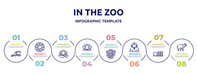 in the zoo concept infographic design template. included snowplow, snowflakes, water lily, lotus, coral, sphinx, apartheid museum, safari icons and 8 option or steps.