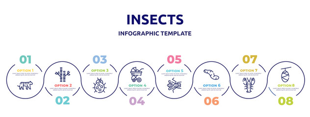 insects concept infographic design template. included tiger, bamboo, ladybug, stroller, gadfly, worm, lobster, cocoon icons and 8 option or steps.
