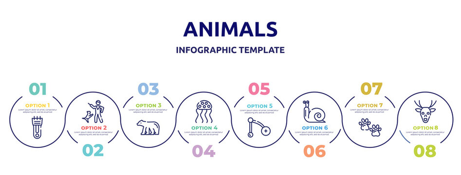 animals concept infographic design template. included hair clipper, dog training, polar bear, jellyfish, branch, snail, pawprint, deer icons and 8 option or steps.