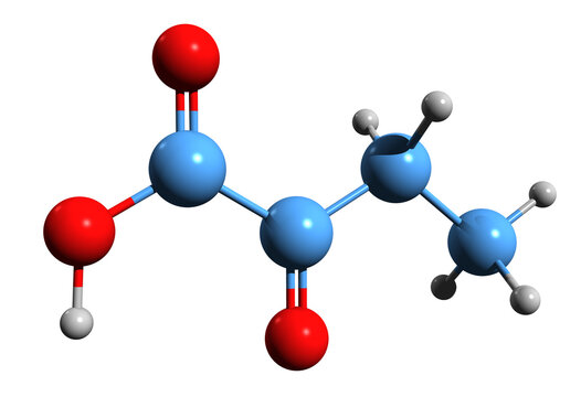 3D image of alpha-Ketobutyric acid skeletal formula - molecular chemical structure of organic compound isolated on white background