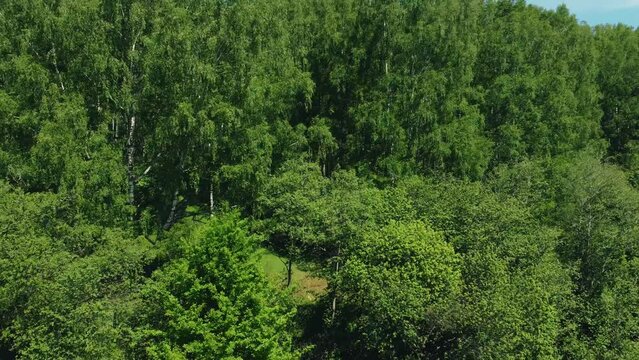 The camera moves smoothly rising on the forest and field and shows the natural landscape from the air.