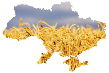 Ukraine map concept wheat field. Delay in grain exports due to Russia's blockade.