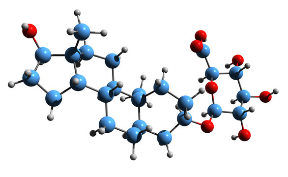  3D image of Androstanediol glucuronide skeletal formula - molecular chemical structure of 3a-ADG isolated on white background
