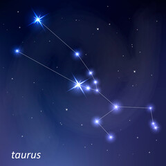 Zodiac signs in the night sky. Western zodiac horoscope. Taurus.