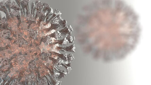 Immunoglobulin G antibodies attack the virus covid-19 and destroy it&mdash;the effect after vaccination or antiviral treatment. Realistic medical 3D animation